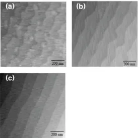 Fig.  3.  Surface  morphologies  of  (0001)  α-Al 2 O 3