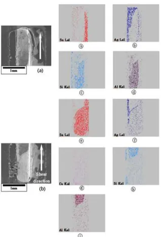 Fig. 7. SEM analysis of AN chip (before thermal shock test).