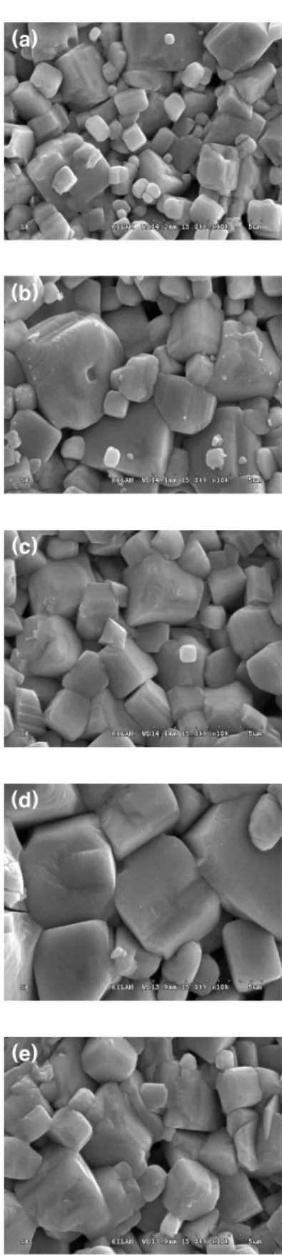 Fig. 1. Microstructure as a function of Fe 2 O 3 addition.