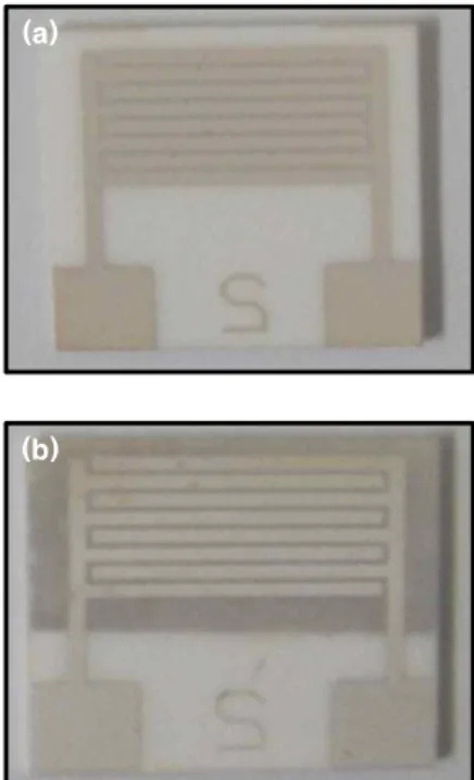Fig. 2. (a) Electrode pattern, (b) sensing film.