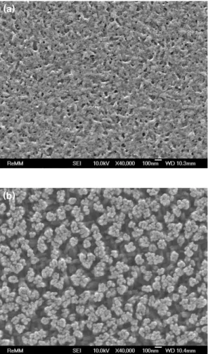 Fig. 1. Surface SEM images of doped porous 3C-SiC with N 2 flow rate; (a) 0 sccm, (b) 40 sccm.