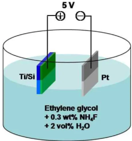 Fig. 1. Schematic of the anodization of Ti films.