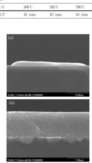 Fig.  5.  SEM  image  of  Ni/Cu  contact.