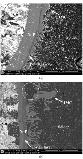 Fig.  2.  Top  shape  of  the  IMC  at  the  interface  by  SEM. 