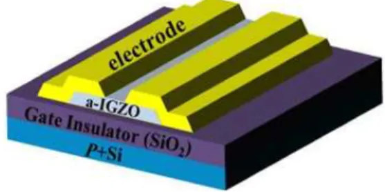 Fig. 1. A schematic of the bottom-gate and top-electrode structure.