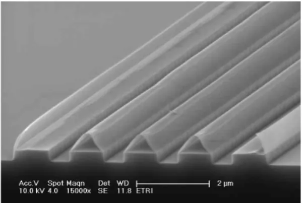 Fig. 2. SEM image of silicon line pattern after the silicon reactive ion etching and aching process.