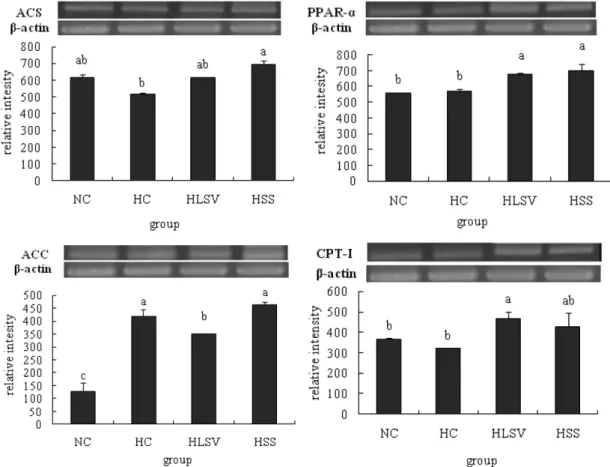 Fig. 2. mRNA levels of lipid metabolism-related genes in the liver of C57BL/6J mice. Mean±SD of 10 mice per group