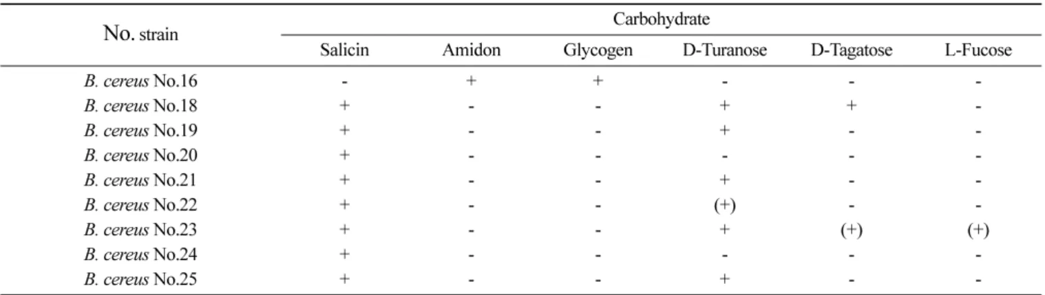 Table 4. Carbohydrate assimilation of isolated  B. cereus  from cooked rice by API rapid identification CHB50