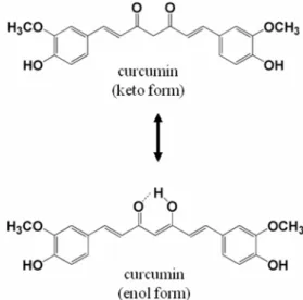 Fig. 2. The molecular structures of curcumin. Curcumin can exist in at least two tautomeric forms, keto (in solid phase) and enol (in solution).