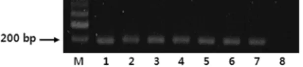 Fig. 2. Detection of peanut-specific DNA from various processed foods containing peanut ingredients