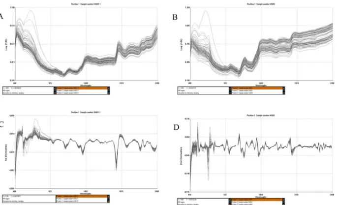 Fig. 1. The original spectra (un-hulled rice, A; brown rice, B) and derivative of the mean spectra (un-hulled rice, C; brown rice, D) of the NIR spectrums of 75 accessions of aroma rices by reflection method