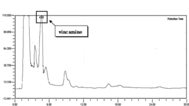 Fig. 3. Typical HPLC chromatogram of vincaminor extract.