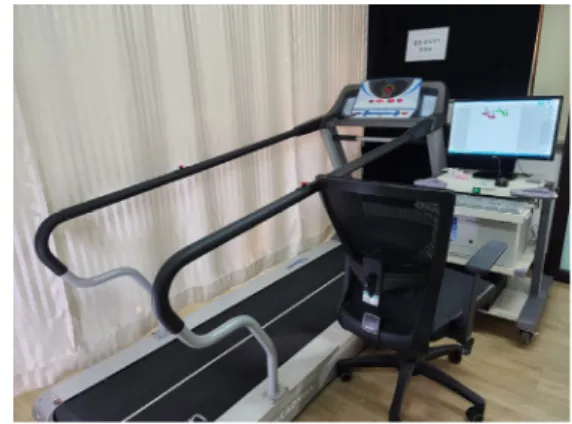 Fig 2. Gait analysis