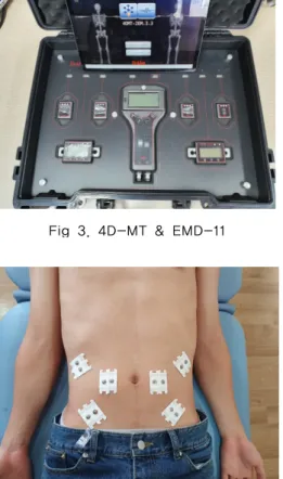 Fig 3. 4D-MT &amp; EMD-11