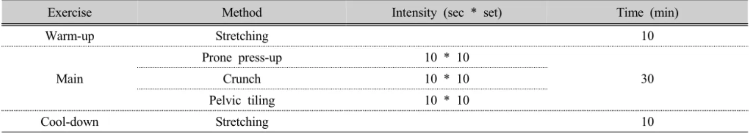 Table 2. Trunk strength exercise program
