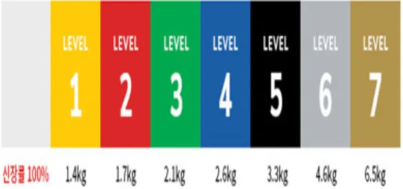 Fig 2. CLX level 2 thera-band