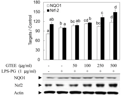Fig 5에서 보는 것처럼 GTEE의 처리에 의하여 NQO1의  발현이 증가하는 것을 확인할 수 있었고 또한 2상 효소 의 전사인자인 Nrf-2의 활성 또한 농도 의존적으로 유도 되는 것을 확인하였다