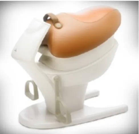 Fig 1. Horseback riding simulator