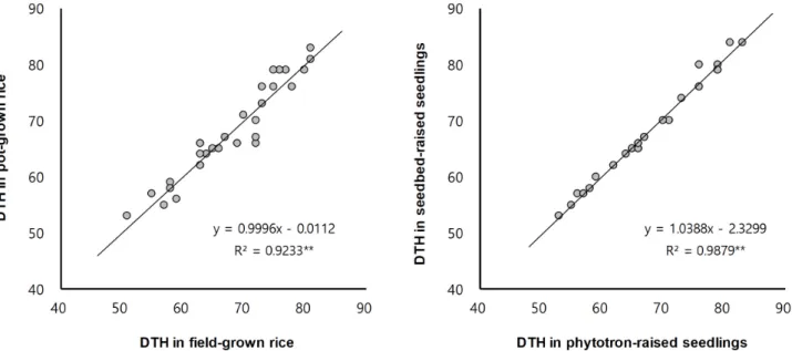 Fig.  3.  Relationship  of  days  to  heading  (DTH)  between  the  field-grown  and  pot-grown  rice,  and  that  between  the  phytotron-raised  and  seedbed-raised  rice  seedlings