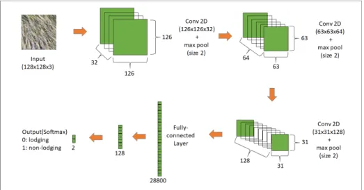 Fig.  3.  The  processing  procedure  for  evaluation  of  the  area  of  rice  lodging.