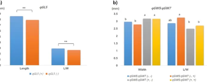 Table  4.  Differences  in  the  ratios  of  grain  length  to  grain  width  according  to  the  different  combinations  of  the  three  detected  grain  shape  QTLs