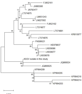 Fig.  3.  Dendrogram  constructed  from  the  sequences  of  ApMV  isolates published in GenBank and Korean isolates cloned  in this study
