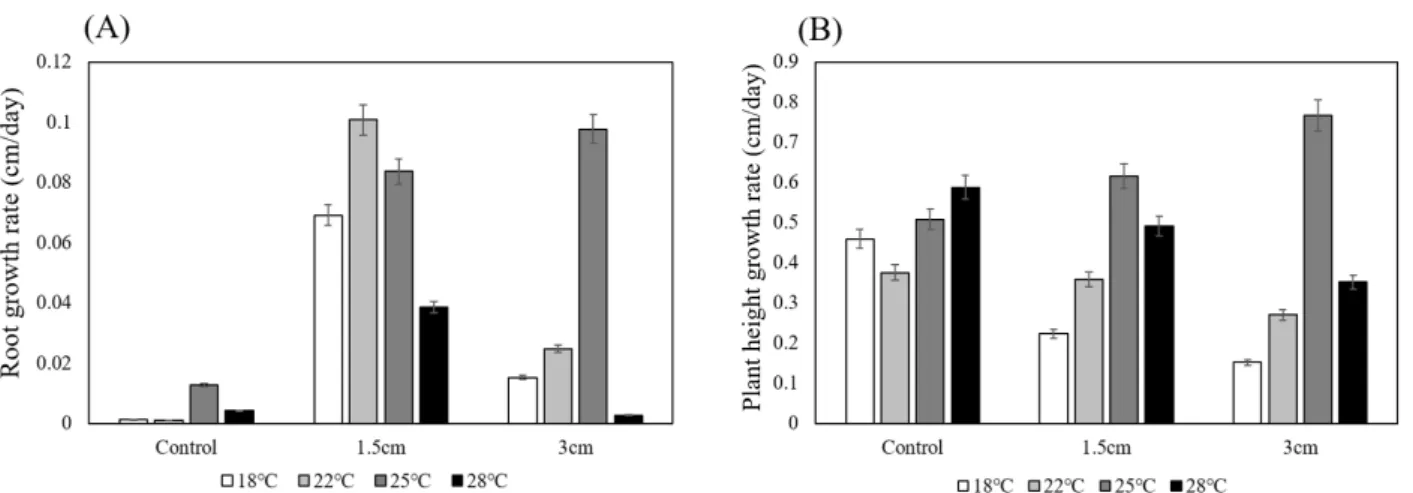 Fig.  2.  Growth  rate  of  (A)  roots  and  (B)  plant  height  per  day  after  root  cutting  treatment  under  different  temperature  conditions  in  14-day-old  seedlings