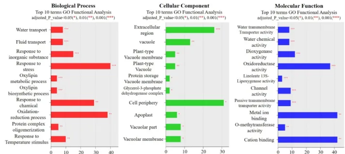 Fig.  5.  Transcriptomic  analysis  of  the  maize  inbred  line  (B73)  under  the  waterlogging  stress  Gene  profiler  of  differentially  expressed  genes  in  waterlogging  treated  maize  relative  to  control  maize