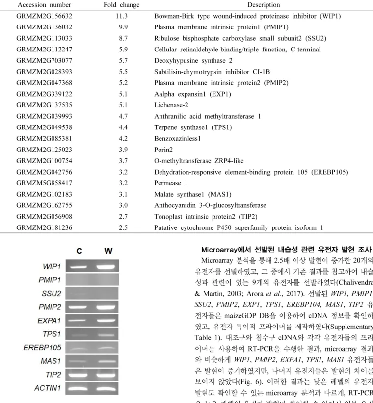 Table  1.  Partial  list  of  up-regulated  genes  in  waterlogging-treated  B73  compared  with  non-  treated  B73