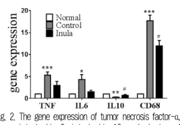 Fig. 2. The gene expression of tumor necrosis factor-α,  interleukin-6, interleukin-10 and cluster of  differentiation 68 of each experimental group.
