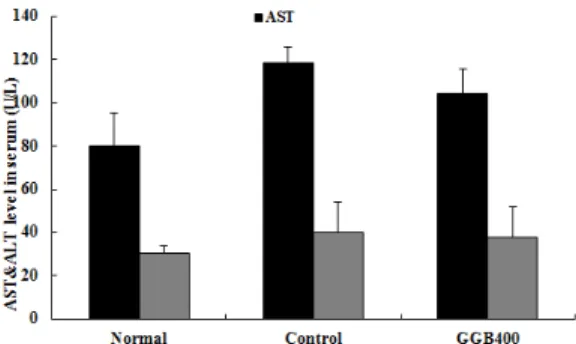 Fig. 8. Effect of GGB on the ALT and AST in ApoE  (k/o) hyperlipidemia mice.
