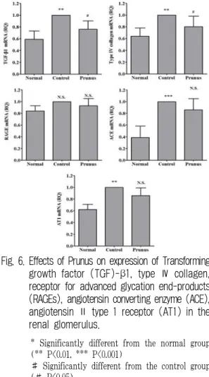 Fig. 6. Effects of Prunus on expression of Transforming  growth factor (TGF)-β1, type Ⅳ collagen,  receptor for advanced glycation end-products  (RAGEs), angiotensin converting enzyme (ACE),  angiotensin Ⅱ type 1 receptor (AT1) in the  renal glomerulus.