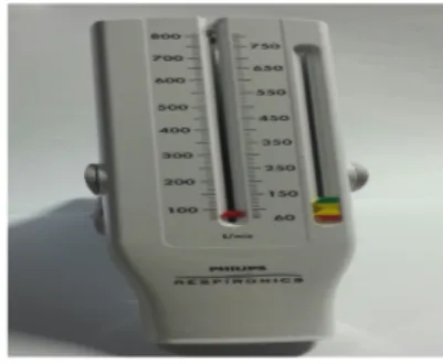 그림 2. Peak Flow Meter
