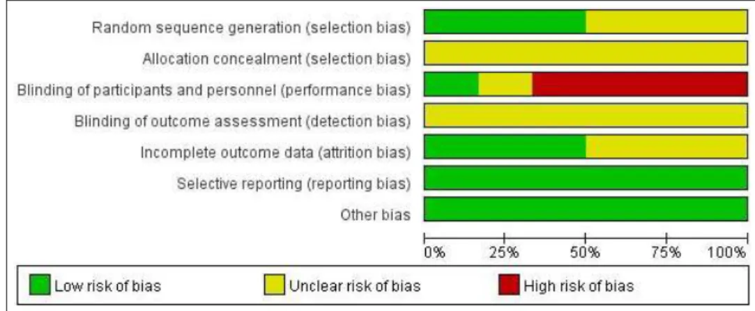 Fig. 2. Risk of bias graph.