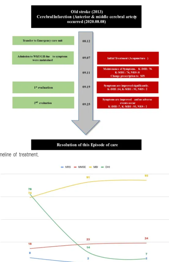Fig. 2. Timeline of treatment.