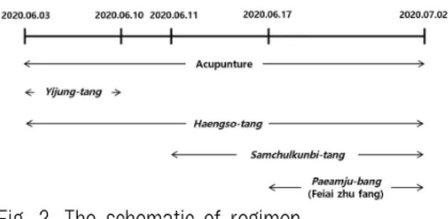 Fig. 2. The schematic of regimen.