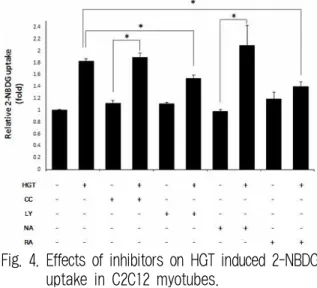 Fig. 3. Effects of HGT on 2-NBDG uptake in C2C12 myotubes.
