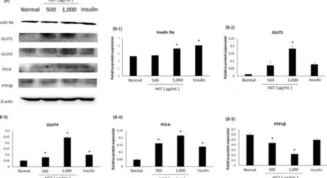 Fig. 7. Effects of HGT on expression of Insulin Rα, GLUT1, GLUT4, PI3-K and PTP1β  in C2C12 myotubes.
