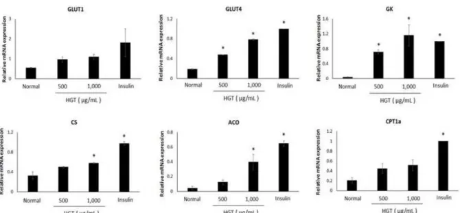Fig. 8. Effects of HGT on mRNA expression of genes involved in glucose transport (GLUT1, 4), glucose oxidation (GK, CS) and β-oxidation (ACO, CPT1α) in C2C12 myotubes.