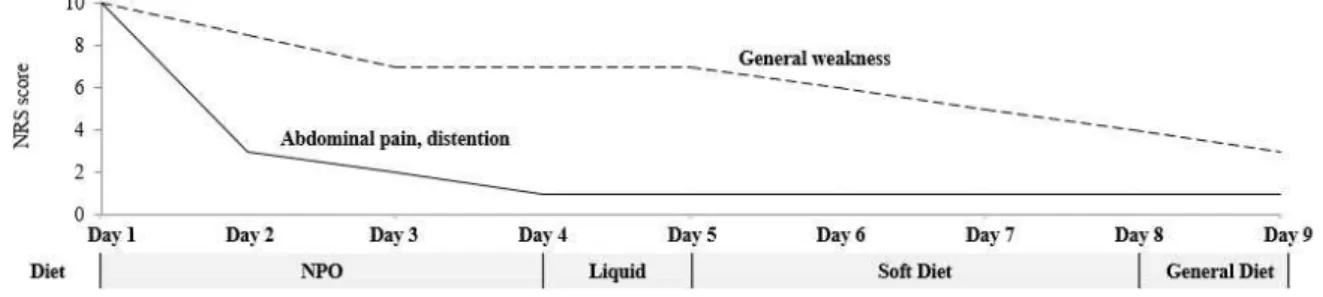 Fig. 4. Summary of change in patient symptoms. Ⅲ. 고찰 및 결론 유착은 소장폐색 발생의 대부분을 차지하는 요 인으로서 외부 충격, 기계적인 자극, 수술 과정 중 의 조작 등으로 일어날 수 있다 10 