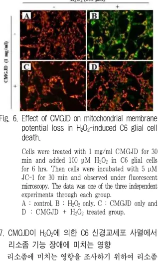 Fig. 6. Effect of CMGJD on mitochondrial membrane potential loss in H 2 O 2 -induced C6 glial cell death.