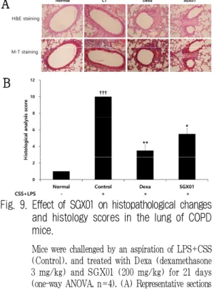 Fig. 9. Effect of SGX01 on histopathological changes and histology scores in the lung of COPD mice.