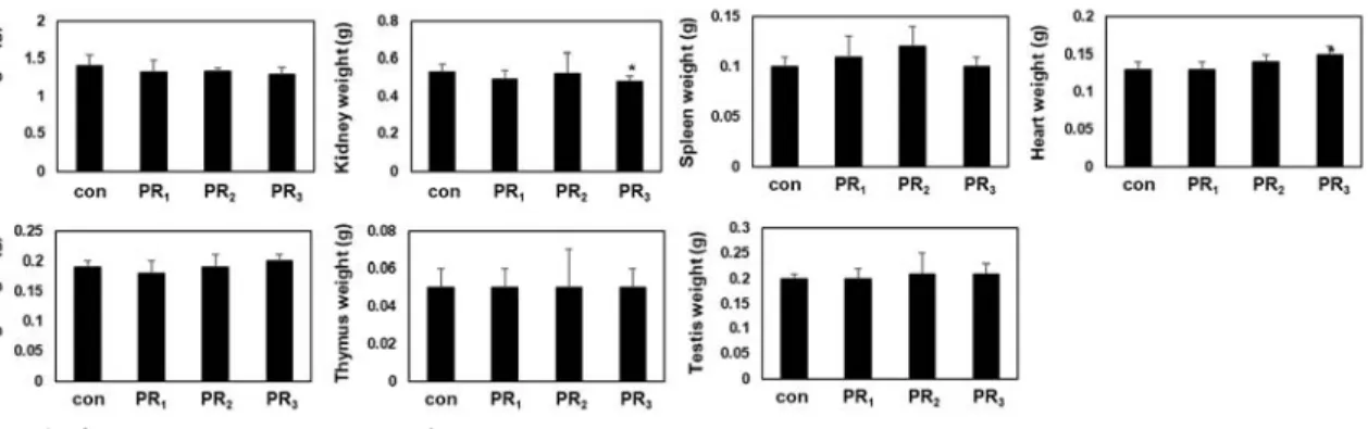 Fig. 2. Organ weights change of ICR mice orally treated with PR.