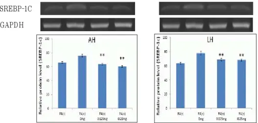 Fig. 5. The effect of AH and LH on SREBP-1c in HepG2 cells. 