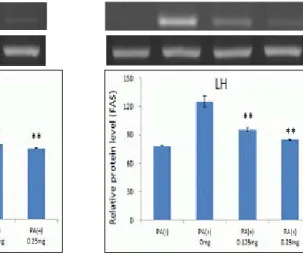 Fig. 7. The effect of AH and LH on FAS in HepG2 cells. 