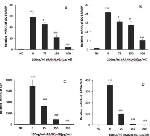 Fig. 5. Effects of GJ on the expressions of OC-STAMP, DC-SRTAMP, and CTR in RANKL stimulated osteoclast