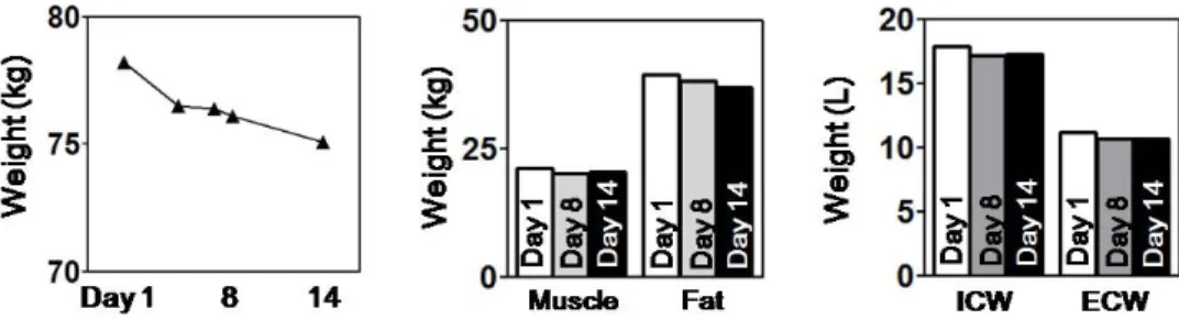 Fig. 1. Change of body weight and composition during treatment period.