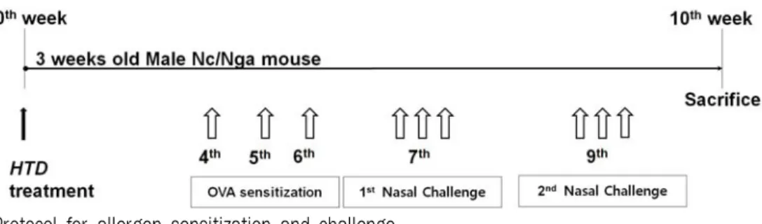 Fig. 1. Protocol for allergen sensitization and challenge.