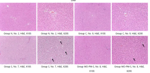 Fig. 1. Histopathologic findings in the liver.