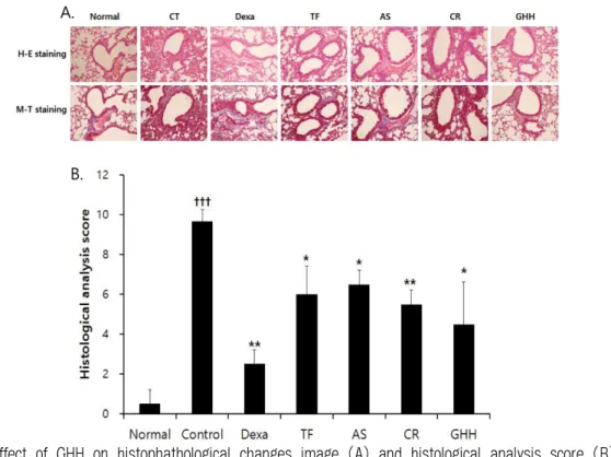 Fig. 9. Effect of GHH on histophathological changes image (A) and histological analysis score (B) of  lung following CFD-induced lung injury mice.